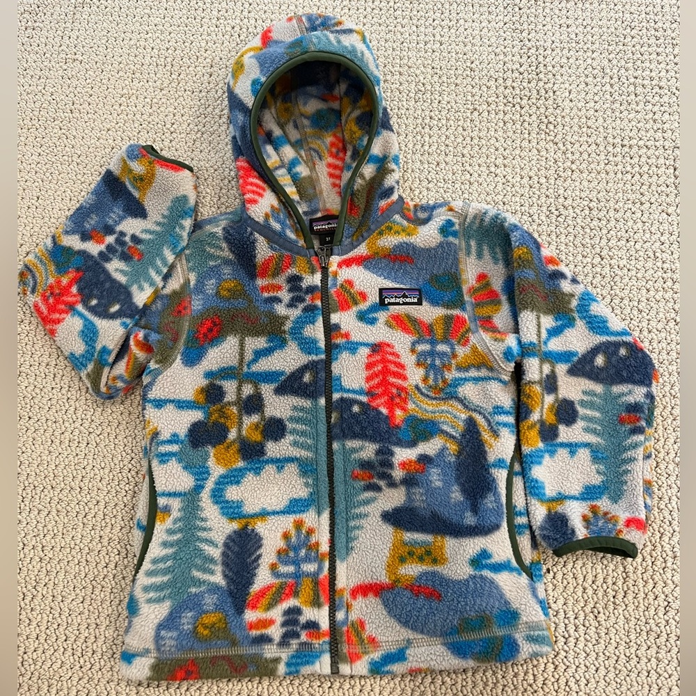 Baby Toddler Patagonia Kids Synchilla Fleece Zip Up Hooded Jacket
